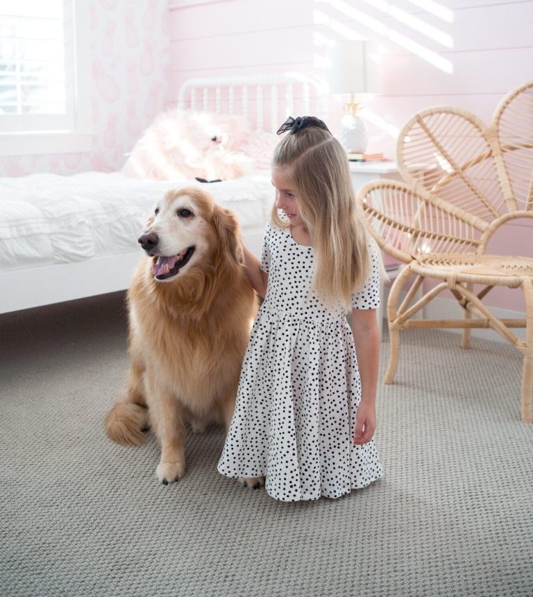 Girl petting dog on carpet