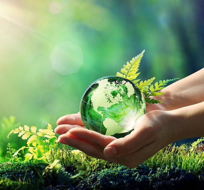 Global Sustainability in the Carpet Industry